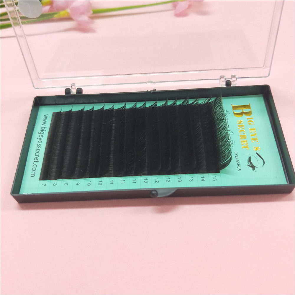 Promotions price Eye Lashes Ex - Eyelash Extension For Big Eyes review and price